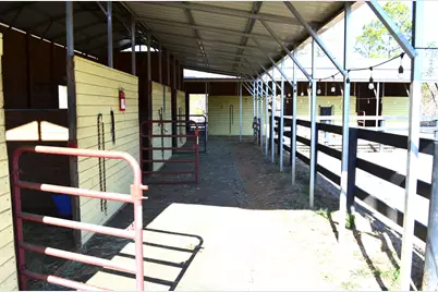 879 Marsh Tacky Run, Aiken, SC 29803 - Photo 24