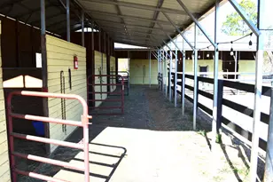 879 Marsh Tacky Run, Aiken, SC 29803 - Photo 24