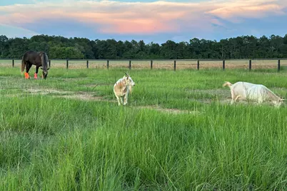 127 & 0 Martin Hollow Road, Aiken, SC 29803 - Photo 64