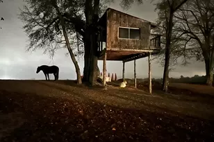 127 Martin Hollow Rd, Aiken, SC 29803 - Photo 68