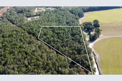 00 Tosha Lane #Lot B, Wagener, SC 29164 - Photo 1