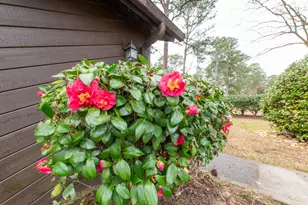 5 Prestwick Ct, Aiken, SC 29803 - Photo 26