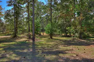 976 Three Runs Plantation Dr, Aiken, SC 29803 - Photo 38