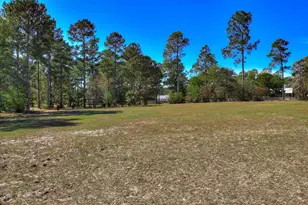 976 Three Runs Plantation Dr, Aiken, SC 29803 - Photo 34