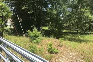 Tbd Sappling Rd, Barnwell, SC 29812 - Photo 1