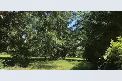 Tbd Sappling Road, Barnwell, SC 29812 - Photo 1