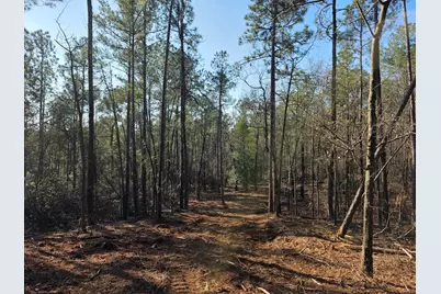 0000 Atomic Road, Beech Island, SC 29842 - Photo 1