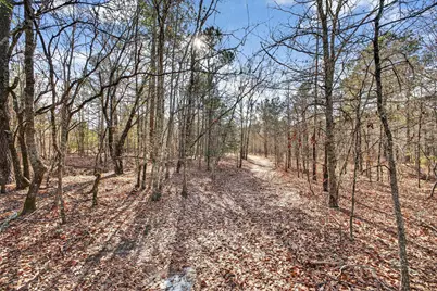 805 Long Branch Circle, Williston, SC 29853 - Photo 36