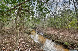 805 Long Branch Cir, Williston, SC 29853 - Photo 32