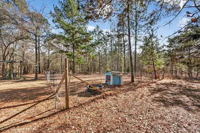 805 Long Branch Circle, Williston, SC 29853 - Photo 34