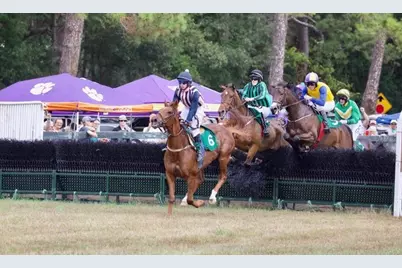 98 Troon Way, Aiken, SC 29803 - Photo 50