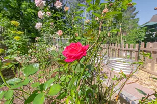 201 Buck Point Ct, Aiken, SC 29803 - Photo 22