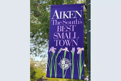 605 Holley Lake Road, Aiken, SC 29803 - Photo 94