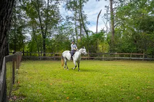 149 Pine Hollow Dr, Aiken, SC 29803 - Photo 54