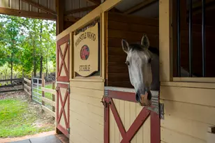 149 Pine Hollow Dr, Aiken, SC 29803 - Photo 42