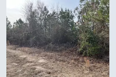 Lot 27 Misty River Trail, Windsor, SC 29856 - Photo 4
