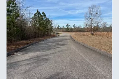 Lot 27 Misty River Trail, Windsor, SC 29856 - Photo 2