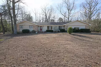 550 Old Shoals Road, Monetta, SC 29105 - Photo 1