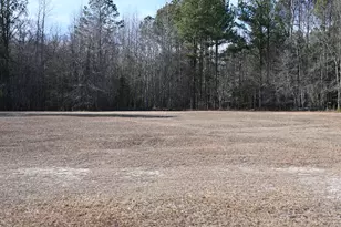 550 Old Shoals Rd, Monetta, SC 29105 - Photo 56