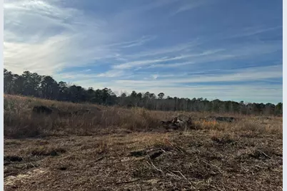 450 Bergen Road, North Augusta, SC 29860 - Photo 4