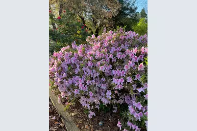 2138 Joyner Pond Road, Aiken, SC 29803 - Photo 40