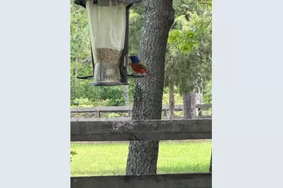 2138 Joyner Pond Road, Aiken, SC 29803 - Photo 32