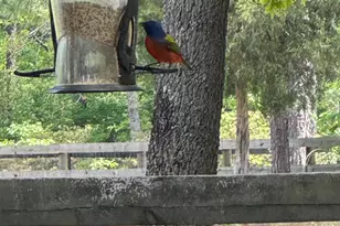 2138 Joyner Pond Rd, Aiken, SC 29803 - Photo 32