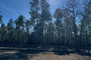 2138 Joyner Pond Rd, Aiken, SC 29803 - Photo 34