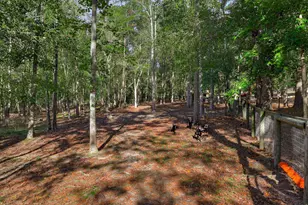 301 Chime Bell Church Rd, Aiken, SC 29803 - Photo 38