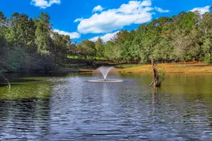 301 Chime Bell Church Rd, Aiken, SC 29803 - Photo 38