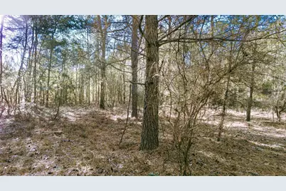 225 Weyerhaeuser Road, Aiken, SC 29801 - Photo 24