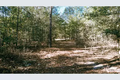 225 Weyerhaeuser Road, Aiken, SC 29801 - Photo 18