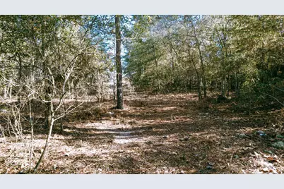 225 Weyerhaeuser Road, Aiken, SC 29801 - Photo 22