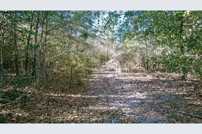 225 Weyerhaeuser Road, Aiken, SC 29801 - Photo 16