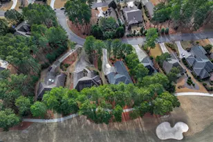 118 White Cedar Way, Aiken, SC 29803 - Photo 46