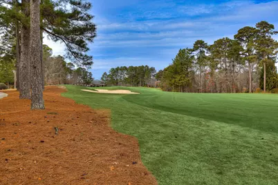 118 White Cedar Way, Aiken, SC 29803 - Photo 44