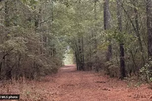 463 Anderson Pond Rd, Aiken, SC 29803 - Photo 88