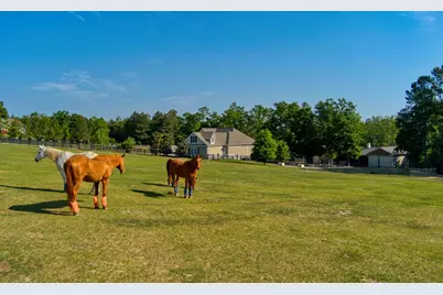 463 Anderson Pond Road, Aiken, SC 29803 - Photo 6