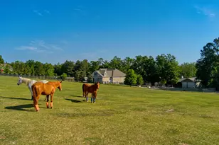 463 Anderson Pond Rd, Aiken, SC 29803 - Photo 6