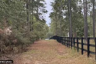 463 Anderson Pond Rd, Aiken, SC 29803 - Photo 96