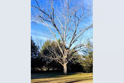 508 E Wise Street E, Trenton, SC 29847 - Photo 34