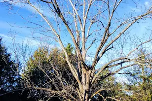 508 E Wise Street E, Trenton, SC 29847 - Photo 34