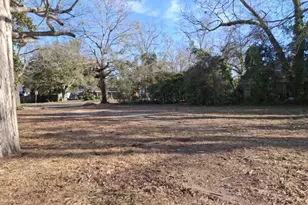 200 Dubose St, Ridge Spring, SC 29129 - Photo 42