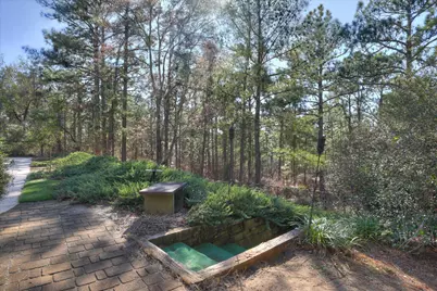 49 Mountain Laurel Drive, Aiken, SC 29801 - Photo 52