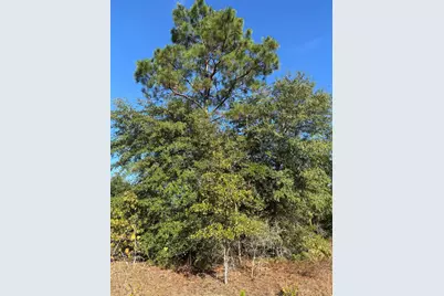 7A Pearl Bonnett, Windsor, SC 29856 - Photo 10