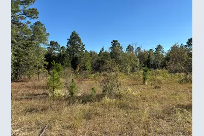 7A Pearl Bonnett, Windsor, SC 29856 - Photo 1