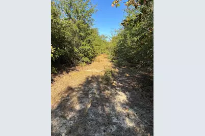 7B Pearl Bonnett, Windsor, SC 29856 - Photo 14