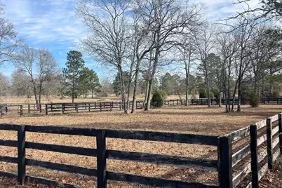 1166 Bethcar Church Road, Wagener, SC 29164 - Photo 2