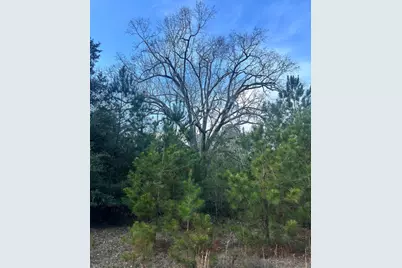 301 Fairway Drive NW, New Ellenton, SC 29809 - Photo 16