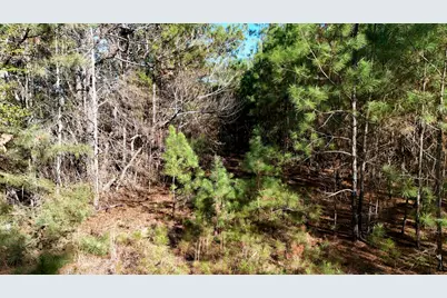 301 Fairway Drive NW, New Ellenton, SC 29809 - Photo 22